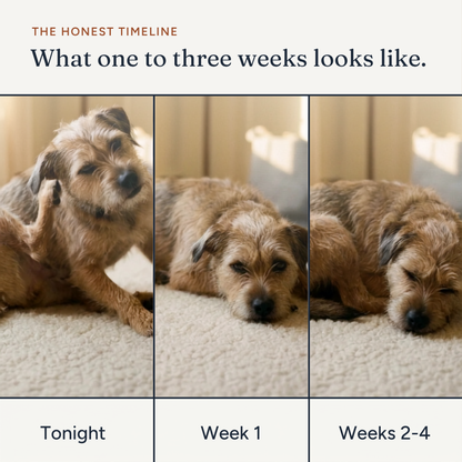 Anti-Itch Spray for Dogs