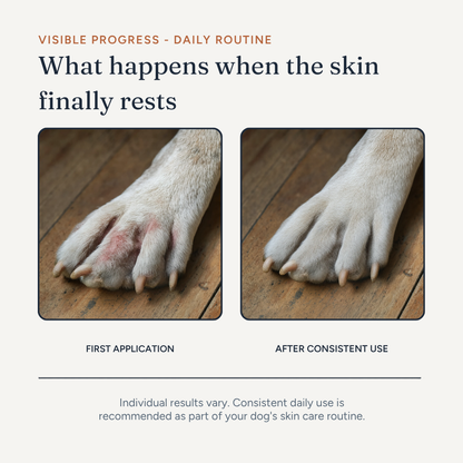 Anti-Itch Spray for Dogs