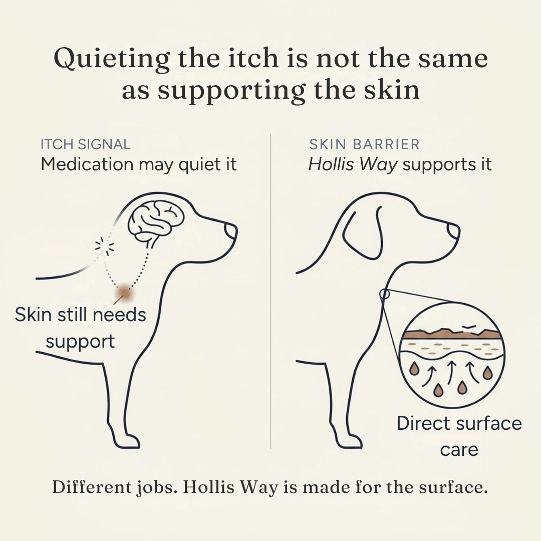 Anti-Itch Spray for Dogs
