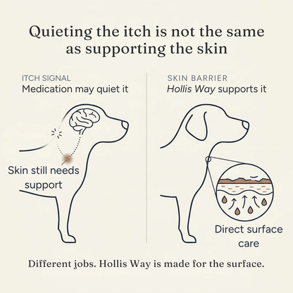 Anti-Itch Spray for Dogs