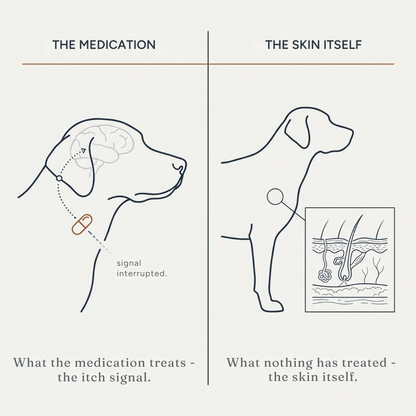 Anti-Itch Spray for Dogs