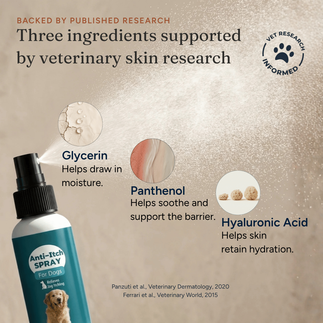 Anti-Itch Spray for Dogs