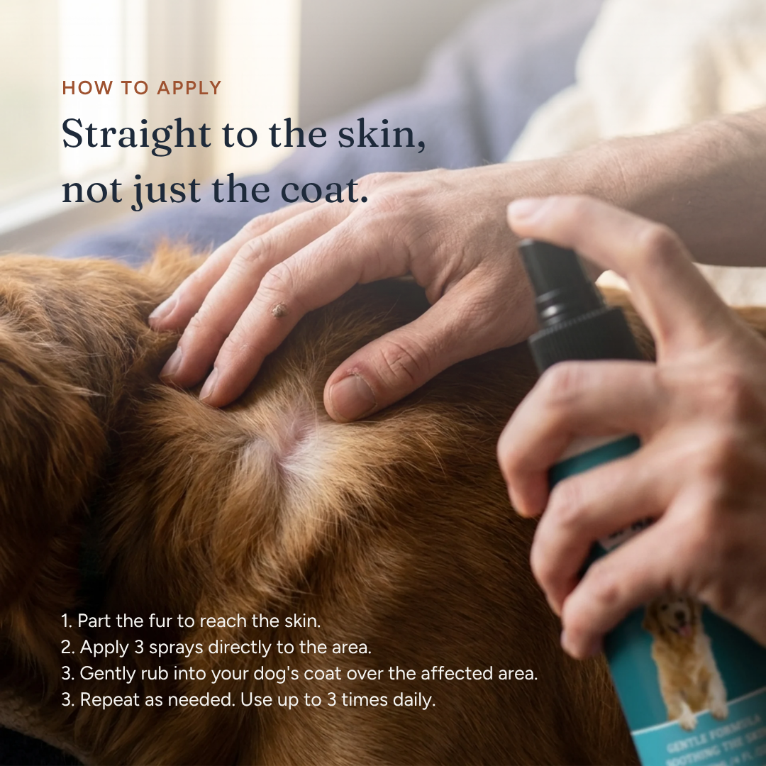 Anti-Itch Spray for Dogs