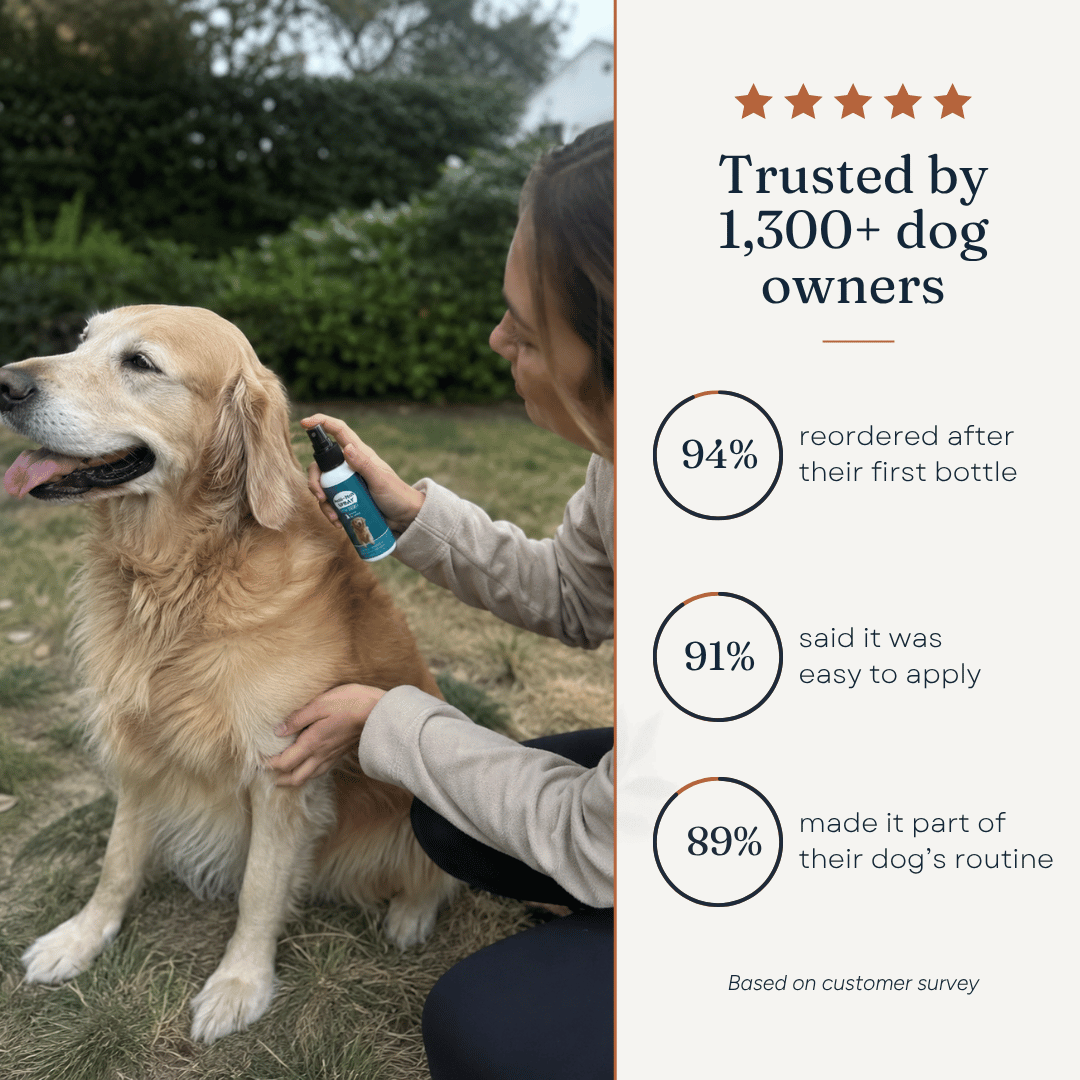 Anti-Itch Spray for Dogs