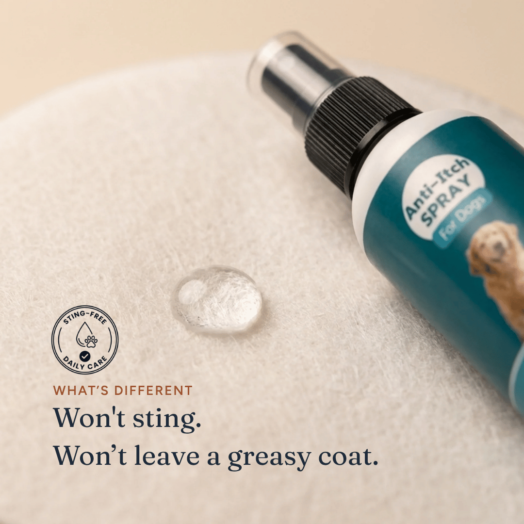 Anti-Itch Spray for Dogs