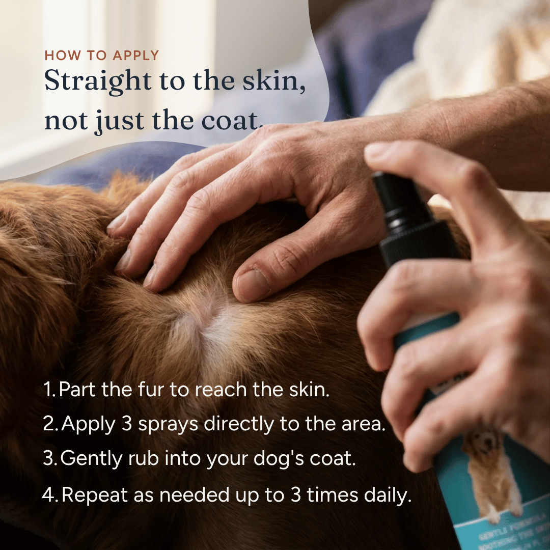 Anti-Itch Spray for Dogs