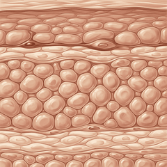 Pulls deep hydration into skin the medications left dry.